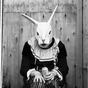 Meet your Posher, Lucy